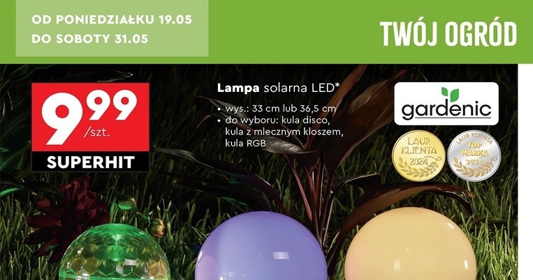 Lampy solarne w Biedronce /Biedronka /INTERIA.PL