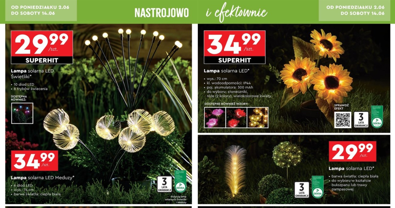 Lampy solarne w Biedronce /Biedronka /INTERIA.PL