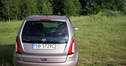 Lancia musa /INTERIA.PL