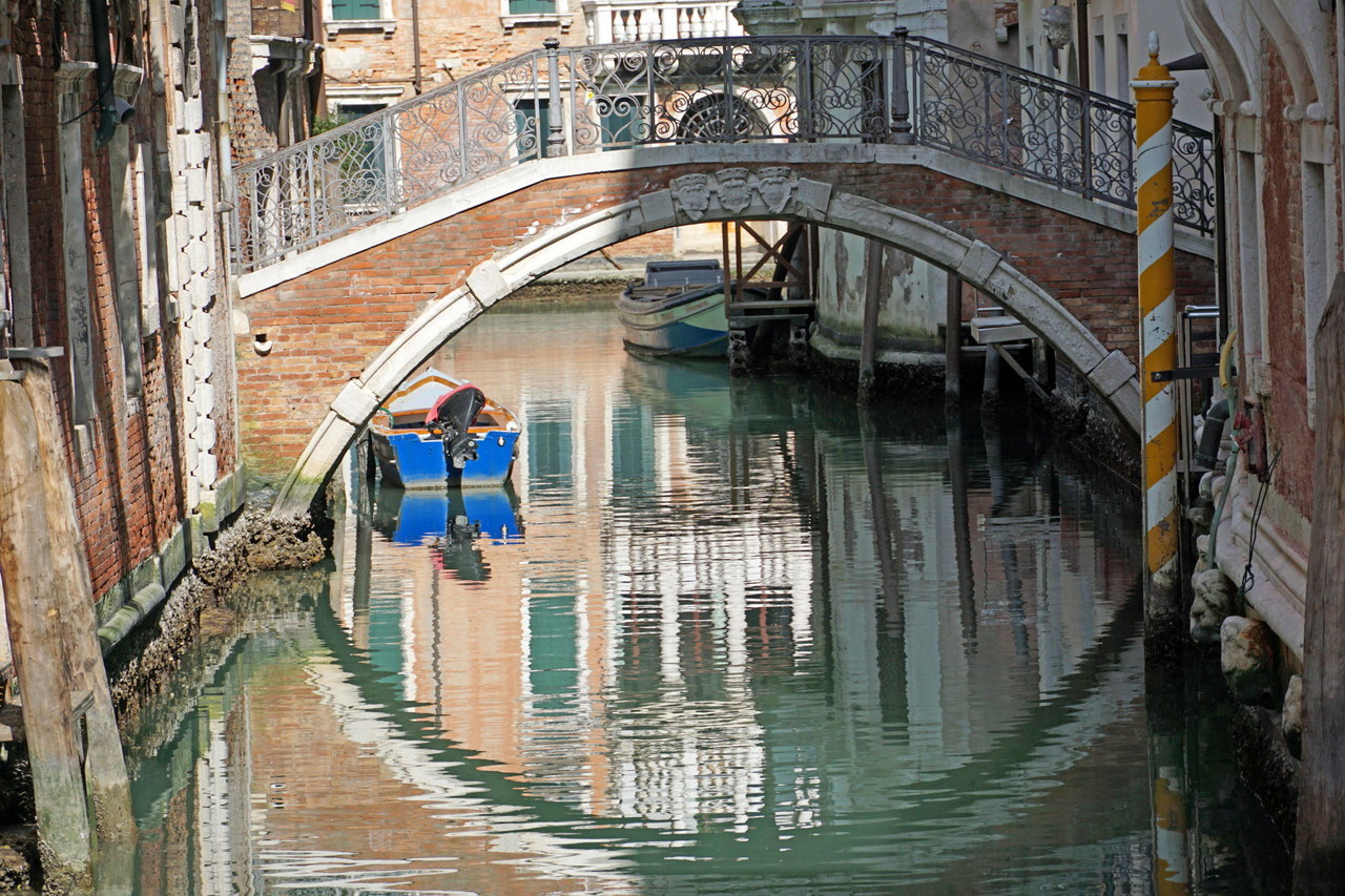 Łanie na Krupówkach, wyjątkowo czysta woda w Wenecji. "Przyroda szybko włącza systemy samooczyszczania"