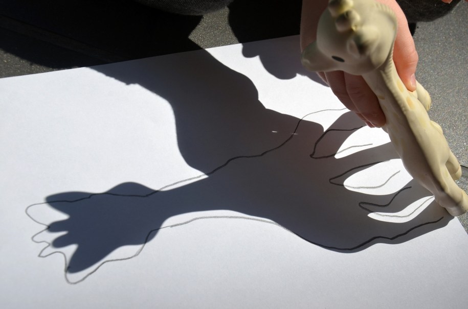 Łapanie cienia /Marlena Chudzio /RMF FM