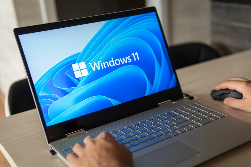 Laptop z Windows 11 /123RF/PICSEL
