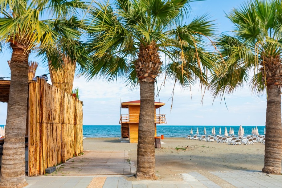Larnaka – cypryjski raj w grudniu! 18°C, palmy, plaże i tanie loty z Polski /Shutterstock