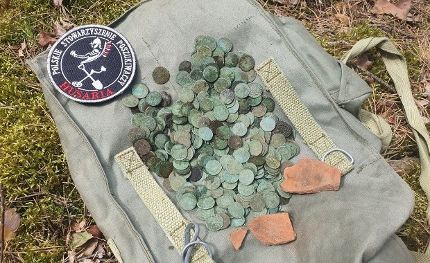 Las koło Jadowa skrywał wyjątkowy skarb. Znaleziono setki monet