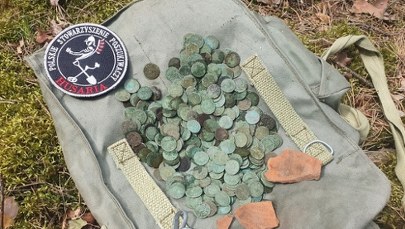 Las koło Jadowa skrywał wyjątkowy skarb. Znaleziono setki monet