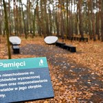 Las Pamięci na poznańskim cmentarzu. Pochówek w biodegradowalnych urnach