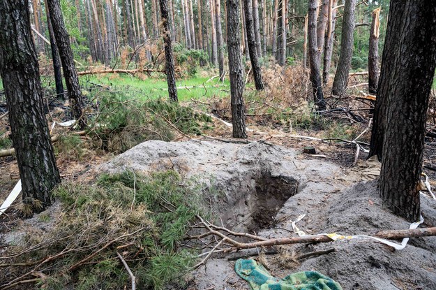 Las, w którym odnaleziono masowe groby, we wsi Motyrzyn-Jasnohorodka /Viacheslav Ratynskyi /PAP