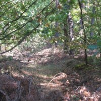 To po tym lesie w nocy błąkał się 8-letni Michał