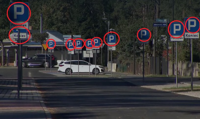 Las znaków drogowych w Pobierowie /Polsat News/Interia