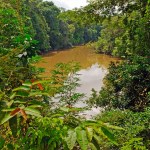 odkrycie archeologiczne Lasery ujawniają setki geoglifów stworzonych przez tajemniczą cywilizację w Amazonii