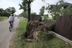 Lasków: Ogromne zniszczenia po przejściu nawałnicy