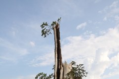 Lasków: Ogromne zniszczenia po przejściu nawałnicy