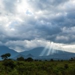 Lasy Afryki emitują więcej CO2, niż pochłaniają. Naukowcy biją na alarm