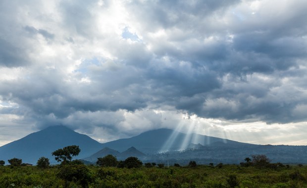 Lasy Afryki emitują więcej CO2, niż pochłaniają. Naukowcy biją na alarm