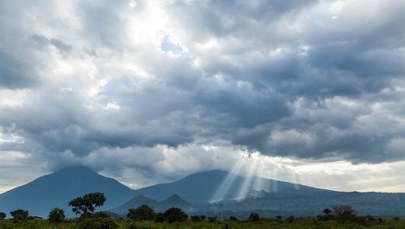 Lasy Afryki emitują więcej CO2, niż pochłaniają. Naukowcy biją na alarm