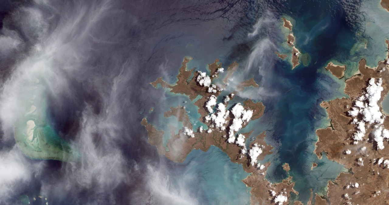 Lasy namorzynowe Australii z satelity Landsat 9 /NASA /materiały prasowe