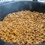 biomasa Lasy paliwem energetycznym? Eksperci ostrzegają przed wzrostem cen pelletu