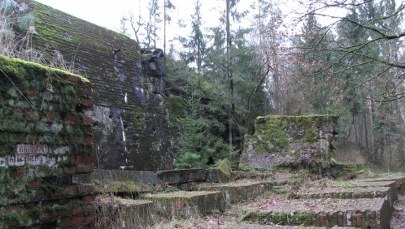 Lasy Państwowe szukają chętnych na kwaterę Hitlera