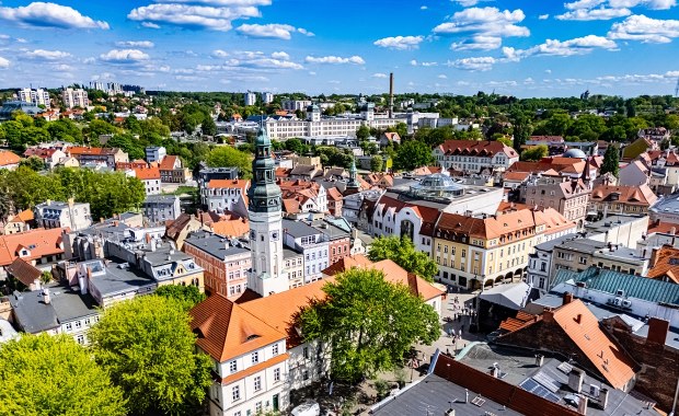 Lasy rosną mimo ekspansji betonu. Które miasta są najbardziej zielone?
