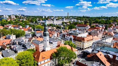 Lasy rosną mimo ekspansji betonu. Które miasta są najbardziej zielone?