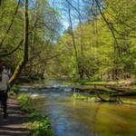 Lasy społeczne w Polsce coraz bliżej. Będą pełnić bardzo ważną funkcję