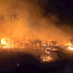 Lasy stoją w ogniu i nie można tego opanować. Ewakuacja ludzi