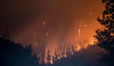 Lasy tundrowe Alaski płoną częściej niż przez ostatnie 3000 lat. Odkryli przyczynę