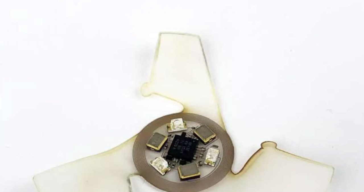 Latający mikrochip w powiększeniu /materiały prasowe