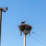 światłowód Latami czekali na szybki internet. Teraz protestują. "Zasłaniają widoki z okien"