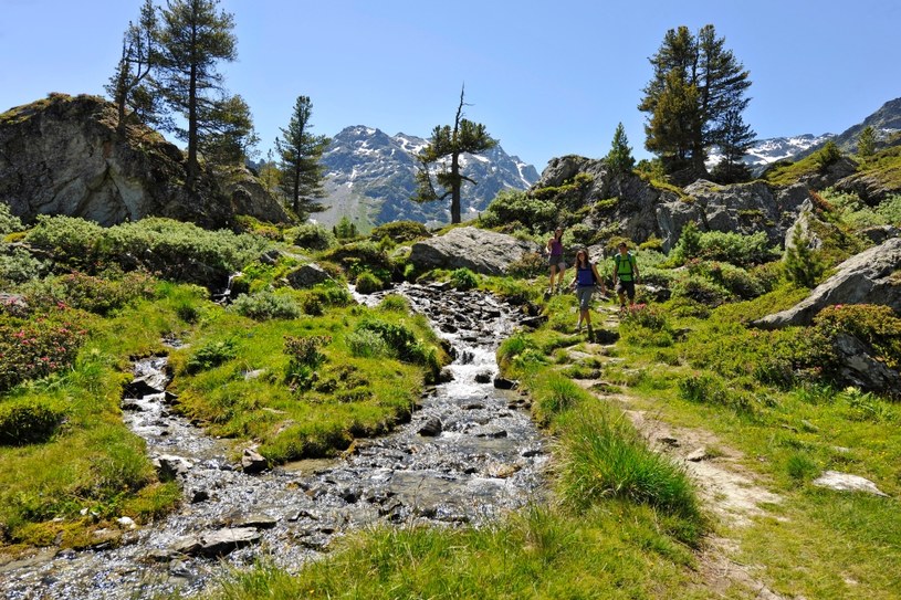 Latem region jest wymarzony do górskich wycieczek oraz nordic walking /Switzerland Tourism