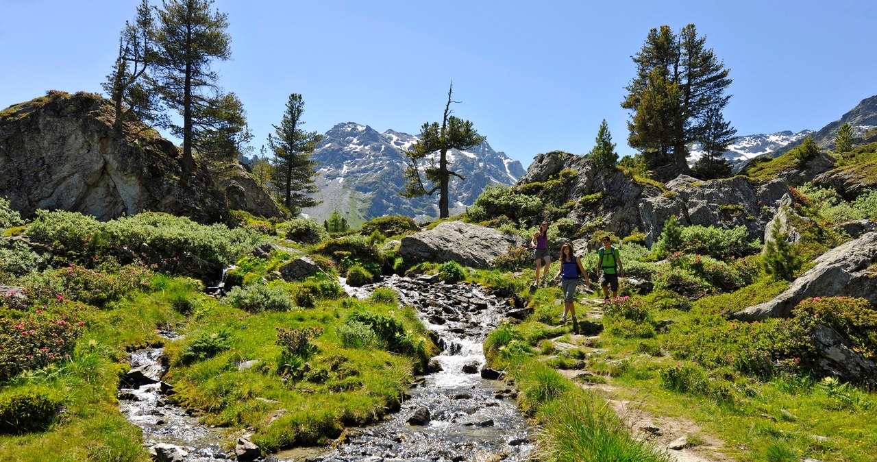 Latem region jest wymarzony do górskich wycieczek oraz nordic walking /Switzerland Tourism