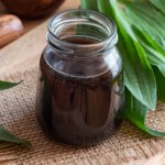 babka lancetowata Latem robię "syrop z ziemi" według receptury naszych przodków. Najlepszy na kaszel, chrypkę i stany zapalne