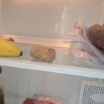 Latem wkładam korek od butelki do lodówki. Rozwiązuje nieprzyjemny problem
