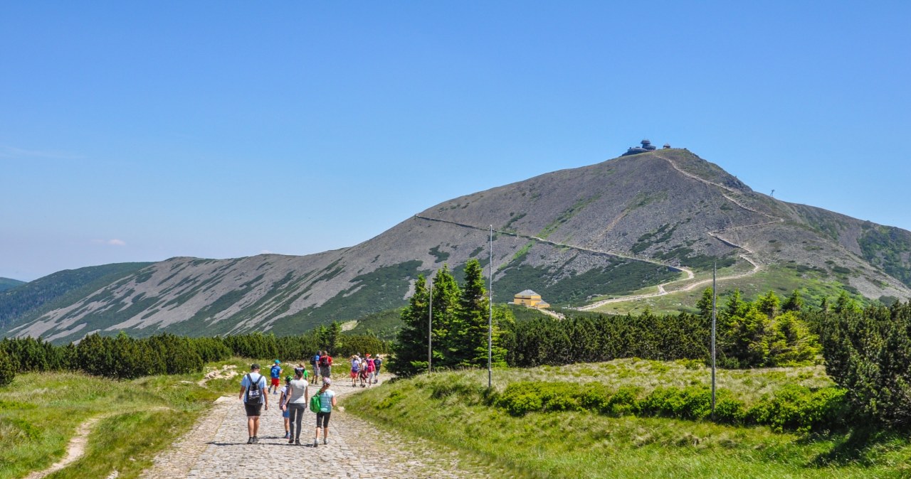 Lato 2024 roku może być ekstremalnie gorące - ostrzega rzecznik IMGW Grzegorz Walijewski. Możliwe będą upały sięgające 36 stopni Celsjusza. Zdjęcie ilustracyjne /dziajda /123RF/PICSEL