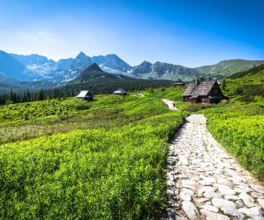 Lato ponad normą. Początek jesieni też zaskoczy