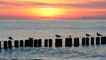 Lato powoli dobiega końca. Od soboty znaczne ochłodzenie