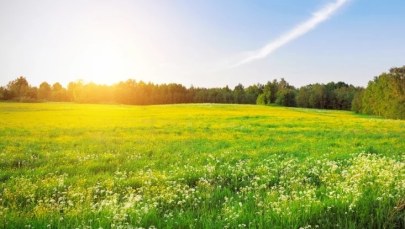 Lato tuż przed Wielkanocą. Ile stopni pokażą termometry?