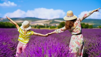 Lato w Polsce? Boom na małe obiekty turystyczne