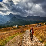 Łatwe szlaki w polskich górach. Jakie wybrać, żeby zdobywać szczyty?