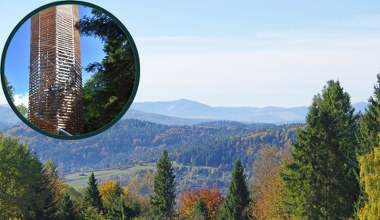Łatwy szlak i wieża widokowa. Pomysł na spacer dla każdego