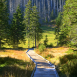 Łatwy szlak w Tatrach na koniec jesieni. Nie spotkasz tam tłumów turystów