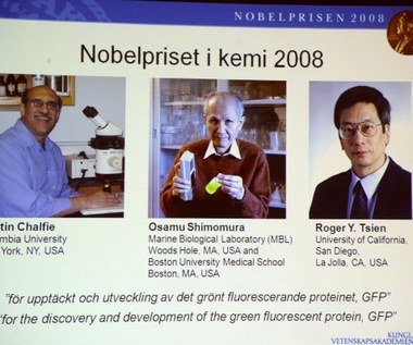 Laureaci Nobla 2008 z chemii