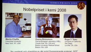 Laureaci Nobla 2008 z chemii