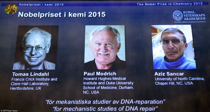 Laureaci tegorocznej Nagrody Nobla w dziedzinie chemii /AFP /East News