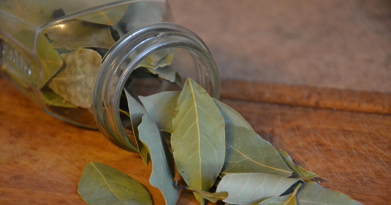 Лаврове листя допоможе освіжити повітря у вашій оселі. Як його використовувати? /pixabay.com