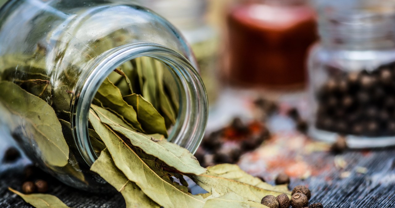 Лаврове листя має протизапальну, антибактеріальну та протигрибкову дії /pixabay.com