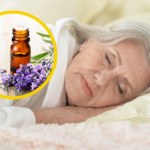 Lawenda - nie tylko na spokojny sen. Wypróbuj napar, olejek lub nalewkę