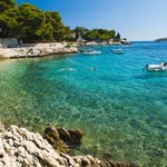 Lawendowa wyspa w Chorwacji. Idealne miejsce na urlop