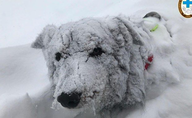 Lawina w Tatrach. Akcja TOPR