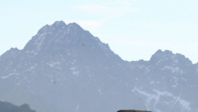 Lawina w Tatrach. Ewakuowano hotel górski pod Gerlachem